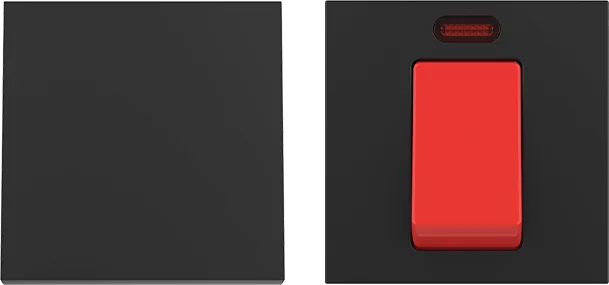 MECHANICAL SWITCH