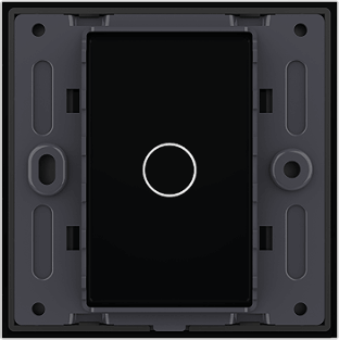 1 Gang Panel