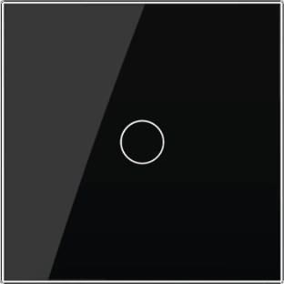 1 Gang Panel