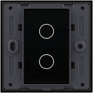 2 Gang Panel