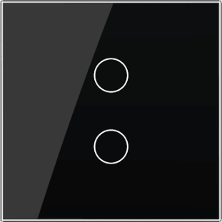 2 Gang Panel
