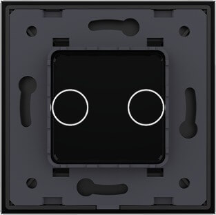 2 Gang Panel
