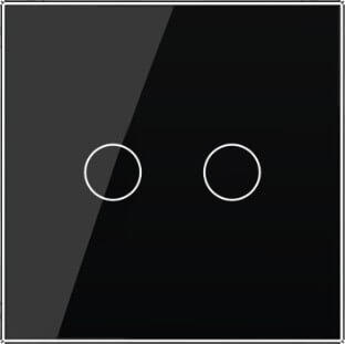 2 Gang Panel